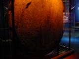 dsc21433.jpg at Adler Planetarium