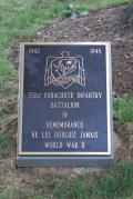 551st Parachute Infantry Battalion Memorial at Arlington National Cemetery