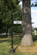 dsc78215.jpg at Arlington National Cemetery