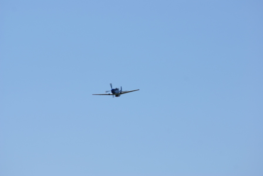 P-51 Petie 2nd In Flight - fly-by