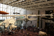 dsc31128.jpg at National Air & Space Museum