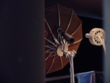 dsc06284.jpg at Naval Aviation Museum