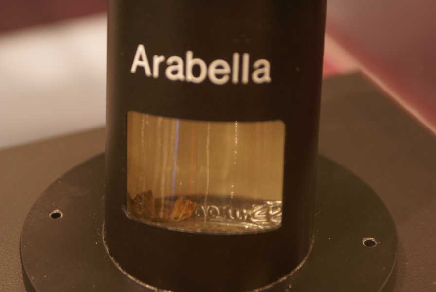 Spider Arabella in Skylab Spider Experiment at U.S. Space and Rocket Center