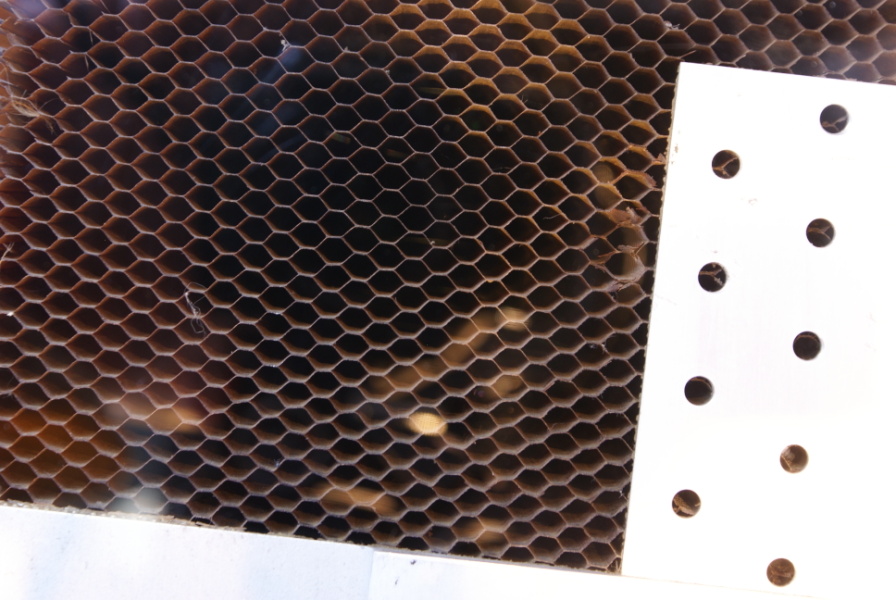 Top of the S-II Common Bulkhead Insulation at the U.S. Space and Rocket Center, showing the honeycomb cells.